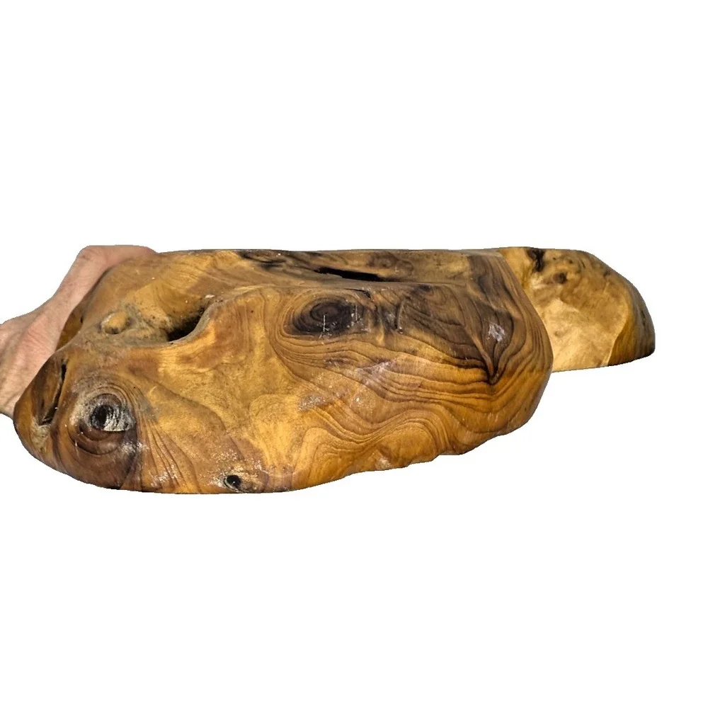 Burl Wood tree Root Bowl Tray Signed COA Free Form Live Edge Lg 10